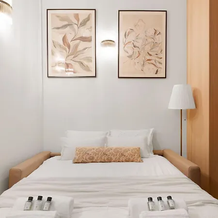 Duplex D'exception Avec Climatisation - Rue Monge *